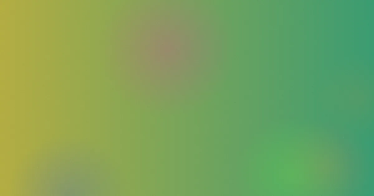 转运怎么用？实测流程对比